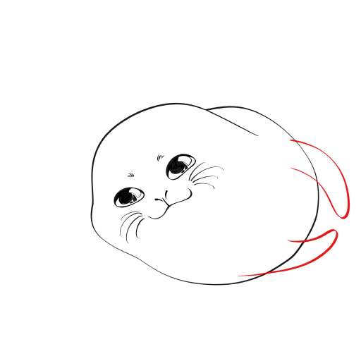 Cute Seal — step 8