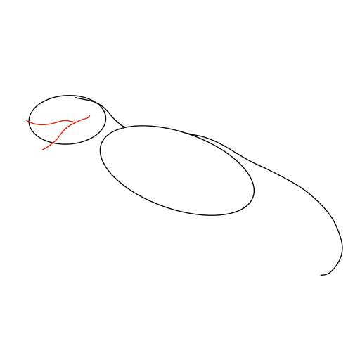 Dinosaur — step 3
