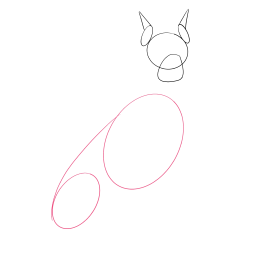 Doberman — step 2
