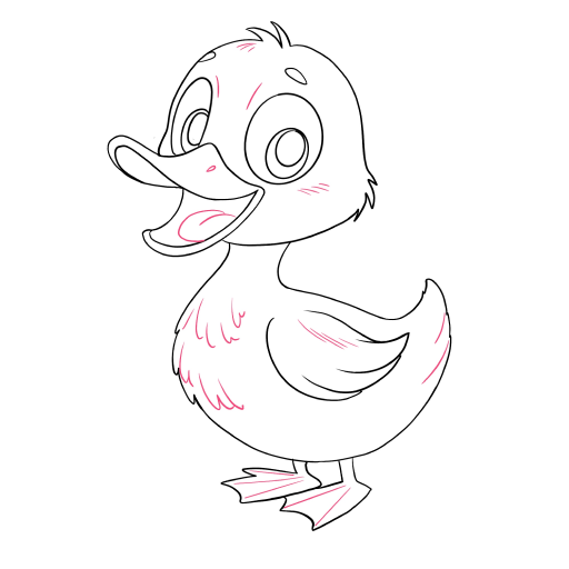 Duckling — step 8