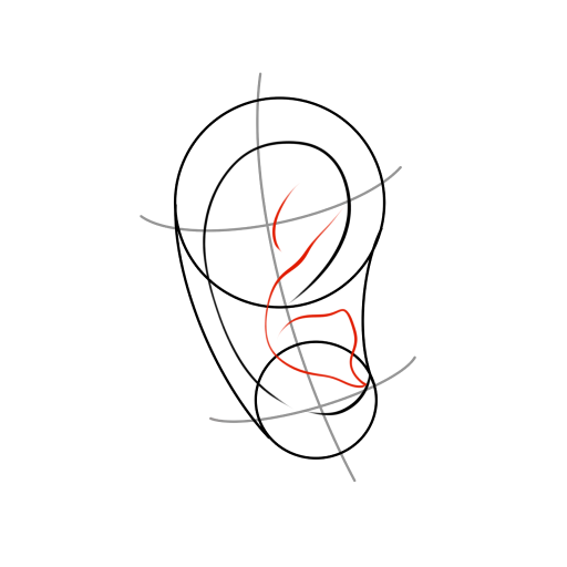 Ear — step 6