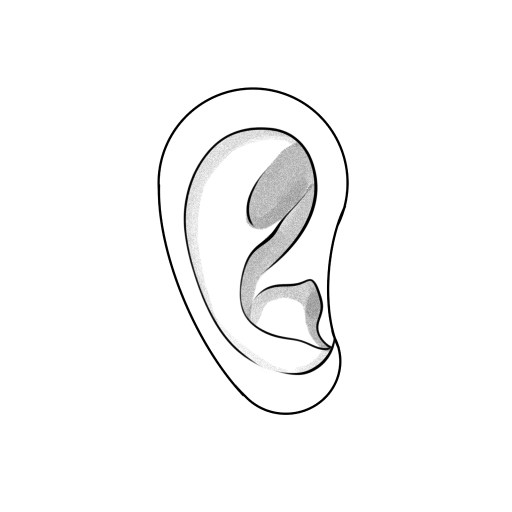 Ear — step 7