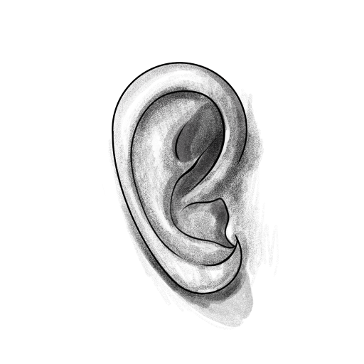 Ear