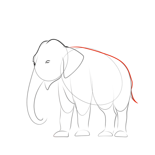 Elephant — step 10