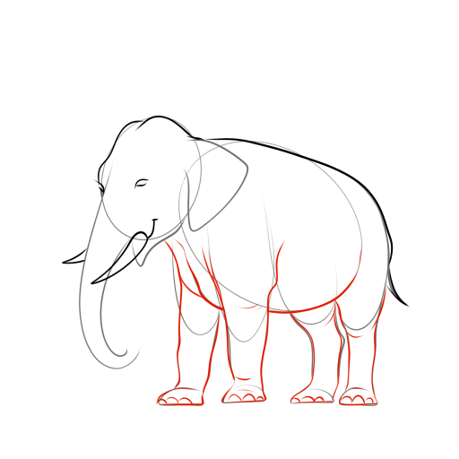 Elephant — step 12
