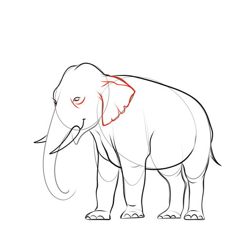 Elephant — step 13