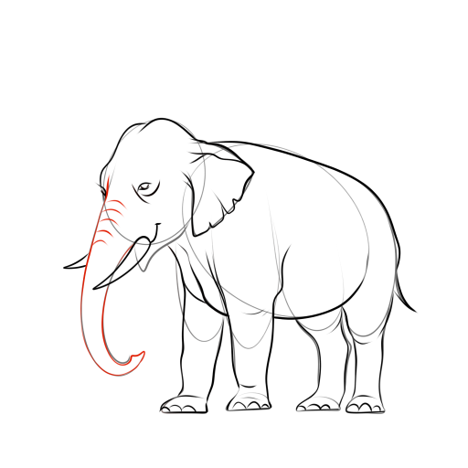 Elephant — step 14