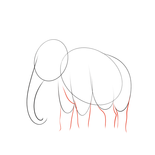 Elephant — step 5
