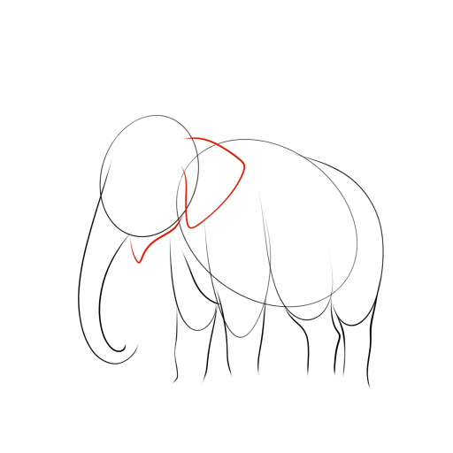 Elephant — step 6