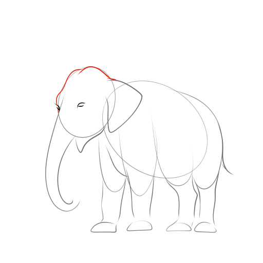 Elephant — step 9