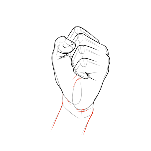 Anatomical Hand — step 12
