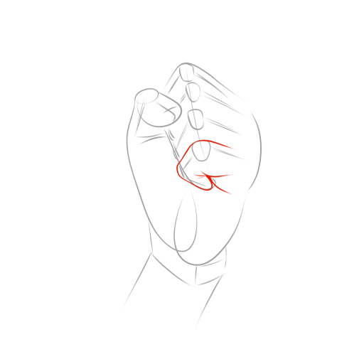 Anatomical Hand — step 6