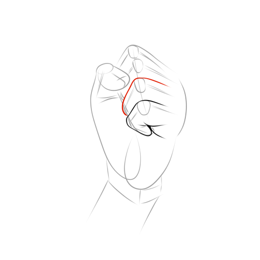 Anatomical Hand — step 7