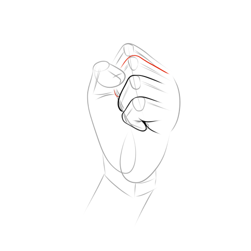 Anatomical Hand — step 8