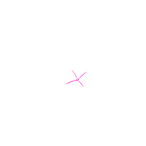 Flower — step 1