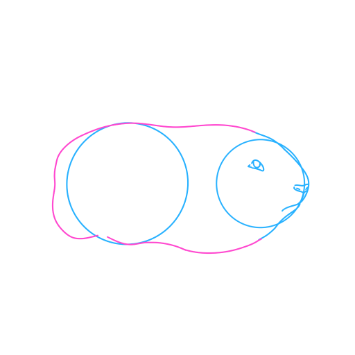 Guinea Pig — step 3