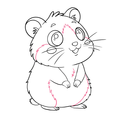 Hamster — step 11