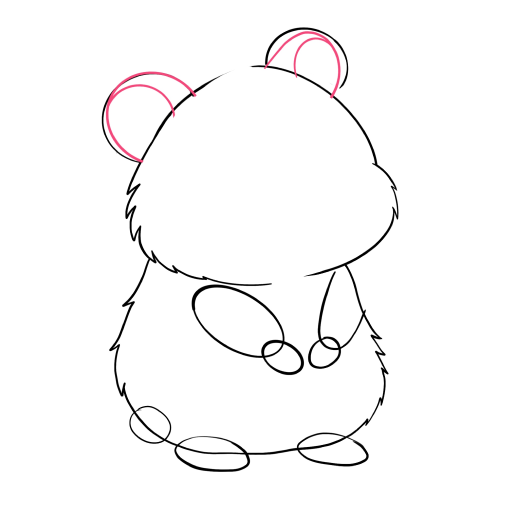 Hamster — step 5