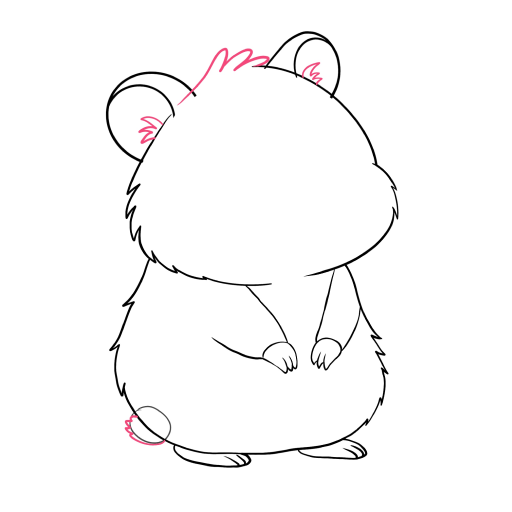 Hamster — step 7