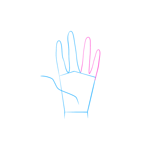 Hand — step 5