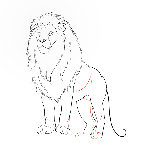 Lion — step 10