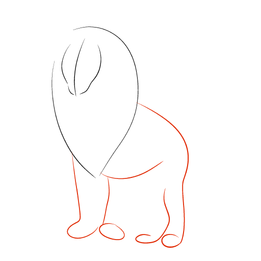 Lion — step 2