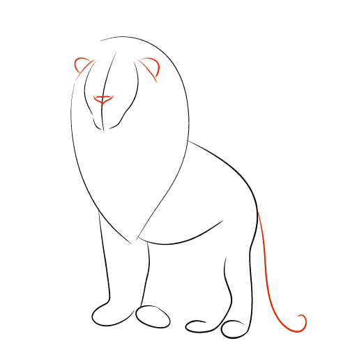 Lion — step 3