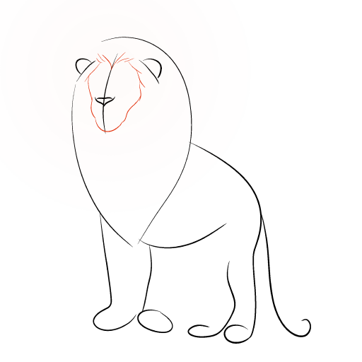 Lion — step 4
