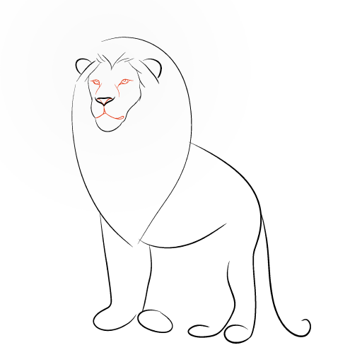 Lion — step 5