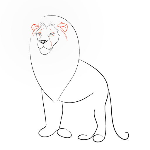 Lion — step 6