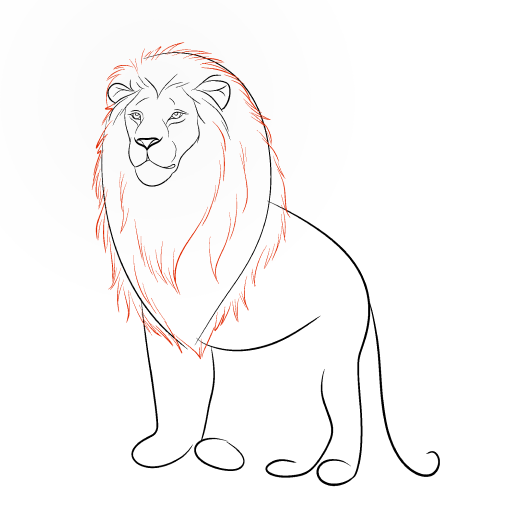 Lion — step 7