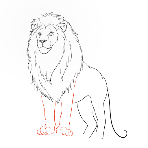 Lion — step 9