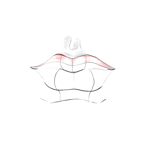 Lips in Profile — step 10