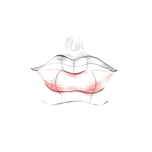 Lips in Profile — step 11