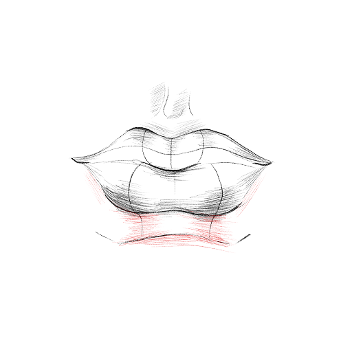 Lips in Profile — step 12