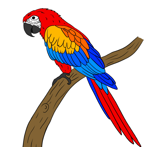 Macaw Parrot