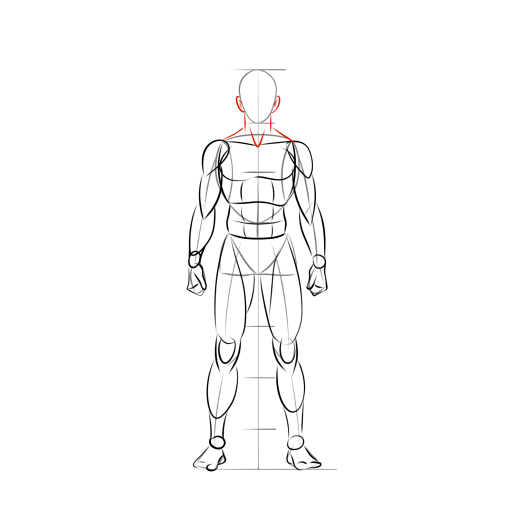 Male Body — step 10