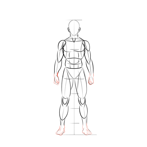 Male Body — step 11