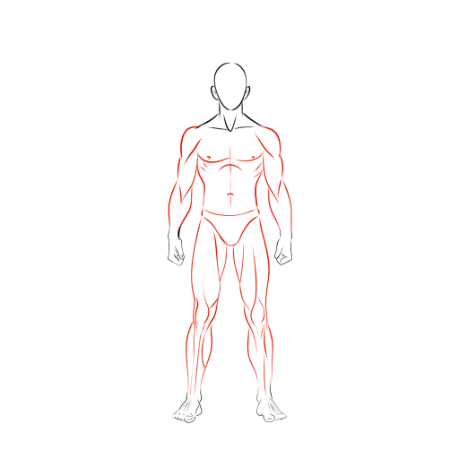 Male Body — step 12