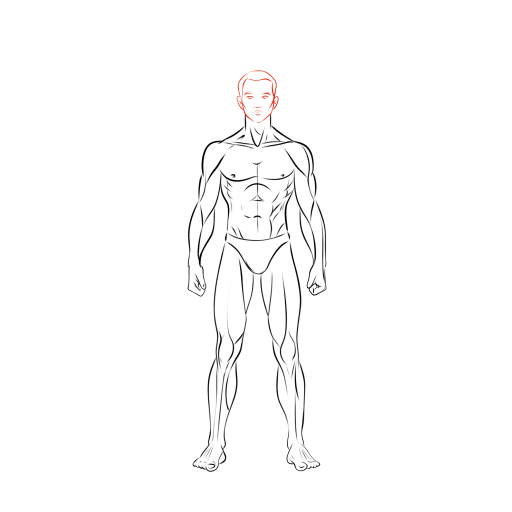 Male Body — step 14
