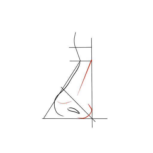 Nose — step 6