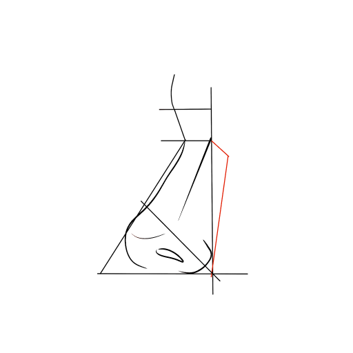 Nose — step 7