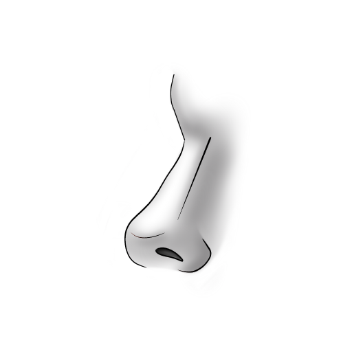 Nose
