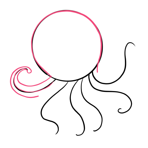 Octopus — step 2
