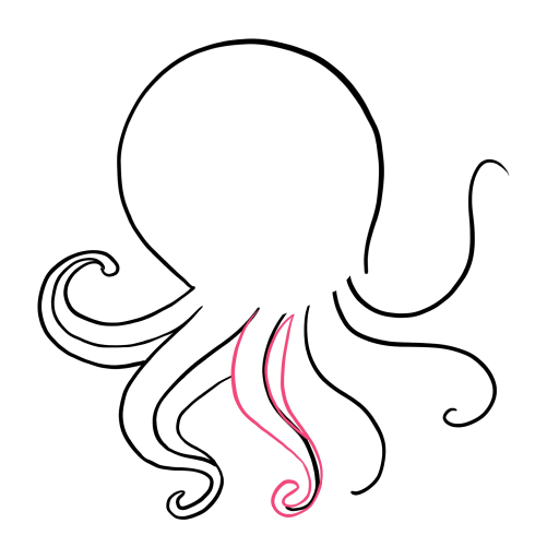 Octopus — step 4