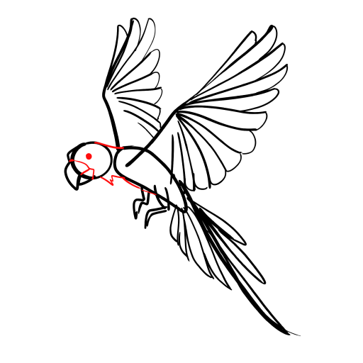 Parrot — step 10