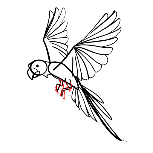 Parrot — step 11