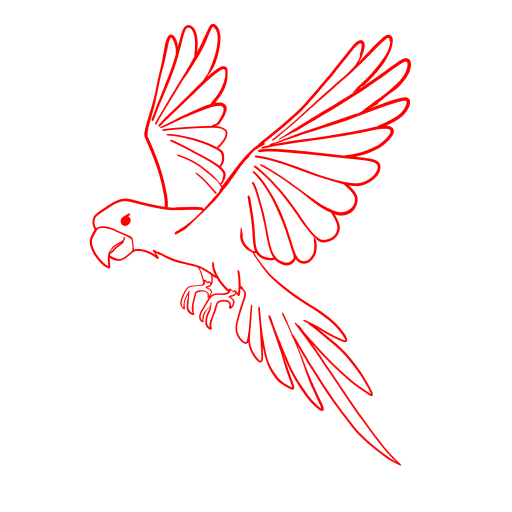 Parrot — step 12