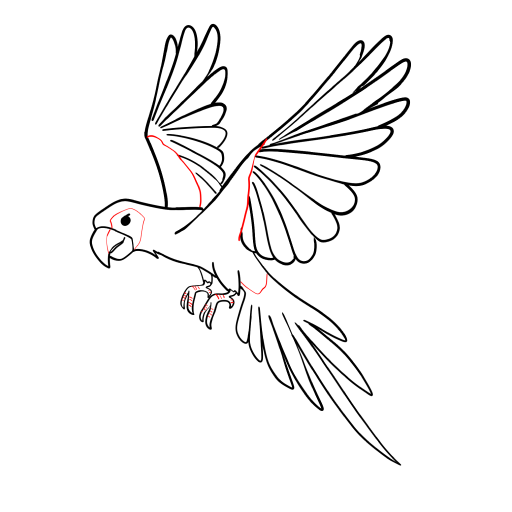 Parrot — step 13