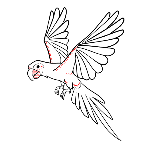 Parrot